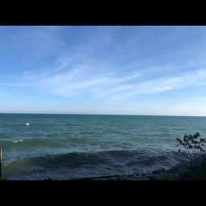 Meet your Posher, Shelby